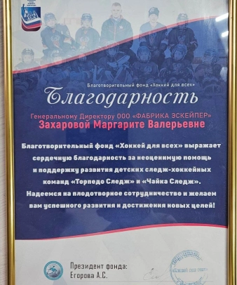 Благодарственное письмо от Благотворительного фонда «Хоккей для всех»
